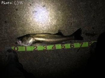 �����Х�������������Ļ