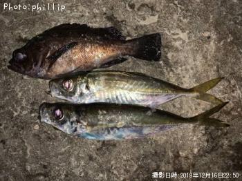 ��������Х�