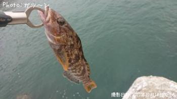 �����Υ���Х롦�����ʥ�