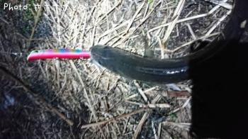 �����Х�