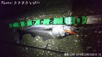 �����Х�