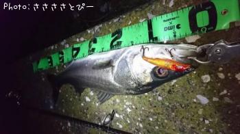 �����Х�