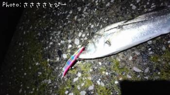 �����Х�