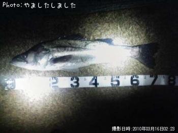 �����Х�