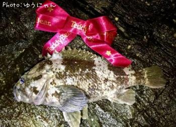 ���󥿥�饽��