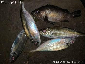 ��Х롢����