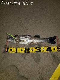 �����Х�