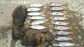 ¥¢¥ª¥ê¥¤¥«¡¢¥à¥Ä¡¢¥¢¥¸