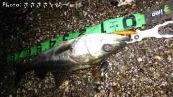 �����Х�