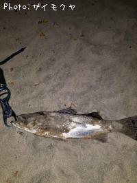 �����Х�