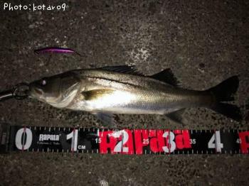 �����Х�