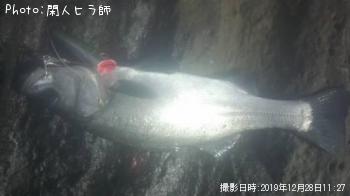 �ҥ饹����