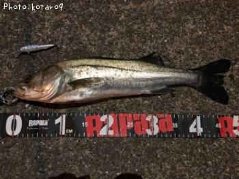 �����Х�