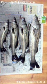 �����Х�