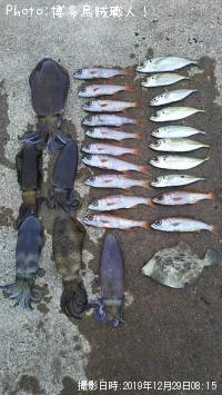 �����ꥤ������ġ�����������ϥ�