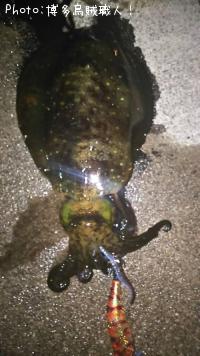 �����ꥤ������ġ�����������ϥ�