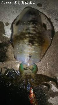 �����ꥤ������ġ�����������ϥ�