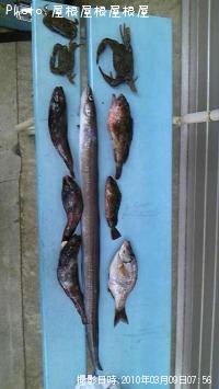 ���ʥ������������ʤɡ�