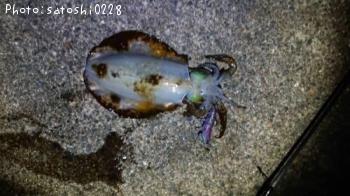 �����ꥤ��