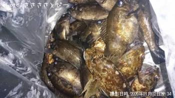 ��Х��������������