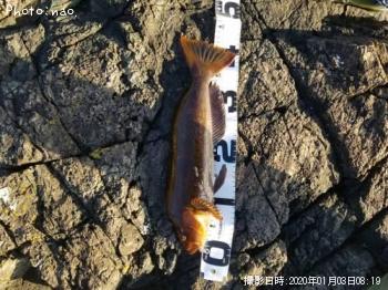 �����ʥ�