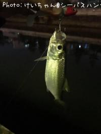 �����ݥ�