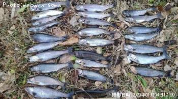 �˥塼���䡼�˥��ޥ�