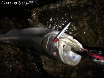 �����Х�