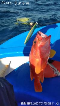 �����ϥ�