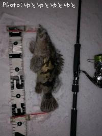 �����Υ���Х�