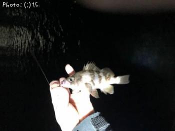 ¥á¥Ð¥ë¡¢¥½¥¤