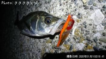 �����Х�