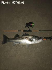 �����Х�