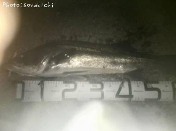 �����Х�