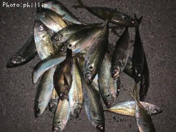 ��������Х�