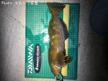 �����ʥ�