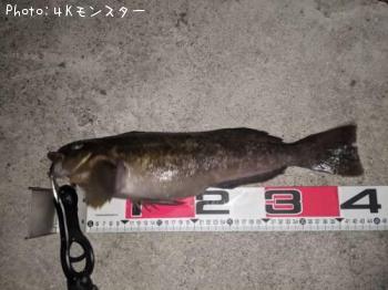 �����ʥ�