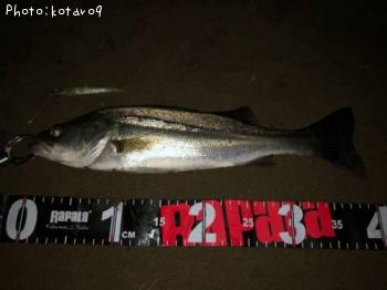 �����Х�