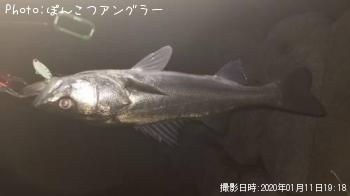 �����Х�