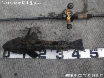 �����ʥ�