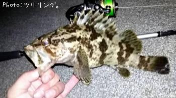 ¥¿¥±¥Î¥³¥á¥Ð¥ë