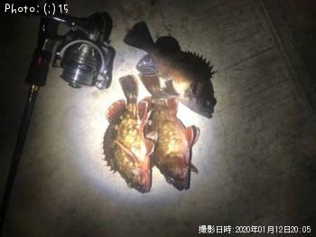 ��Х롢����