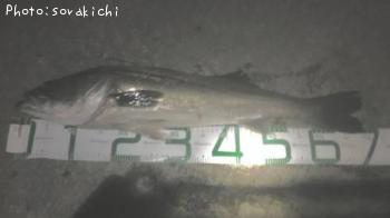 �����Х�