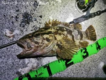 �����Υ���Х�