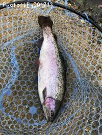 �쥤��ܡ��ȥ饦��