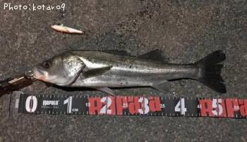 �����Х�