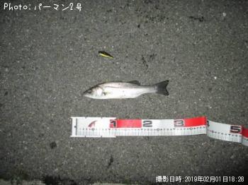 �����Х�