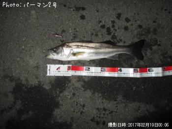 �����Х�