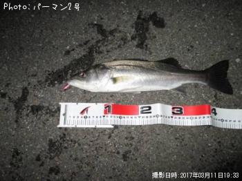 �����Х�