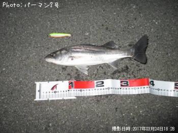 �����Х�